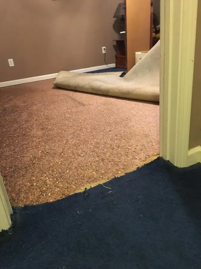 Carpet pad removal revealing water damage during Water Mitigation Services in Leisure World
